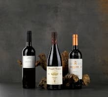 extra-large-cellar Storage Unit